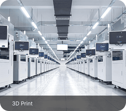 3D Print
